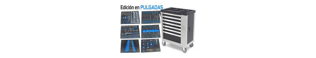 MODULOS EN PULGADAS